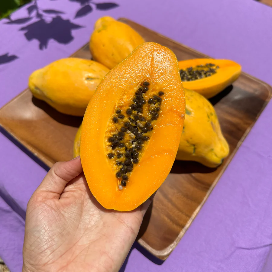 image_da993991-68a2-48bd-be51-eabfdce27db6_900x