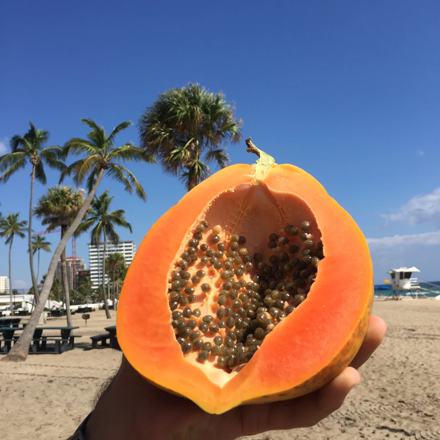 organic_papaya_miamifruit_900x