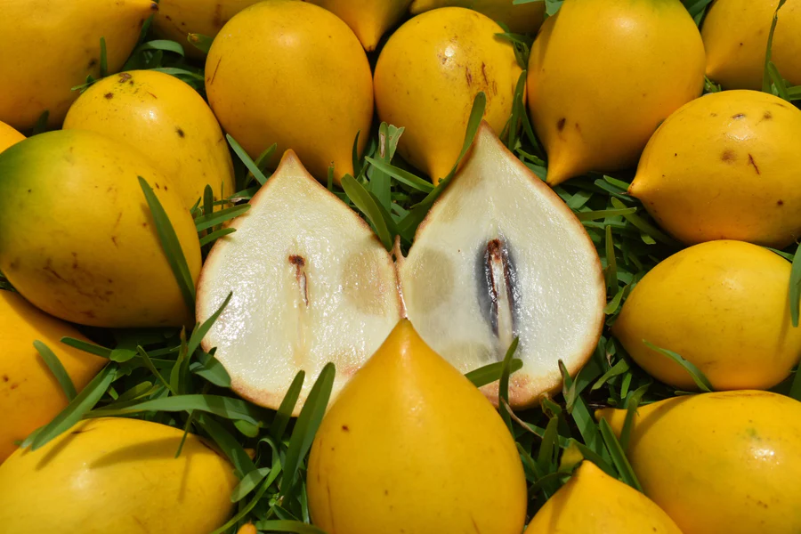 image_05e87335-5bfb-425b-aef9-0b6bf1e94526_900x