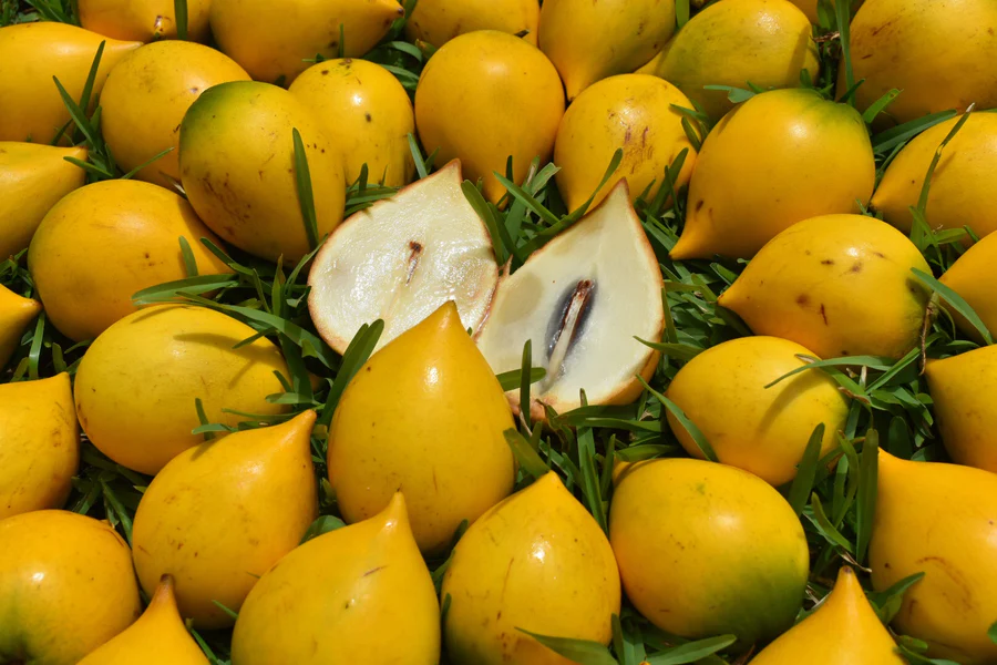 image_e45cf280-e397-4f45-beac-392334325fa8_900x