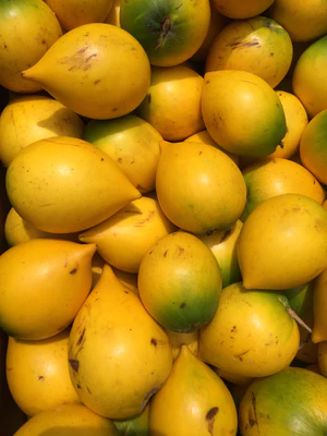 image_e8e4d06d-1fd1-49c7-a44c-ff0a560a4117_300x