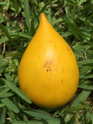 image_f79cf3cd-cf24-47ff-be19-41f6c7ee727e_300x