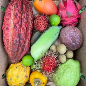 VARIETY BOX
