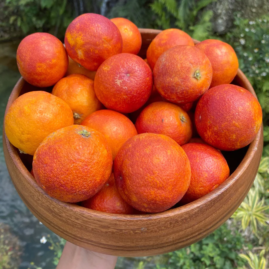 2simpleusesforbloodoranges_900x