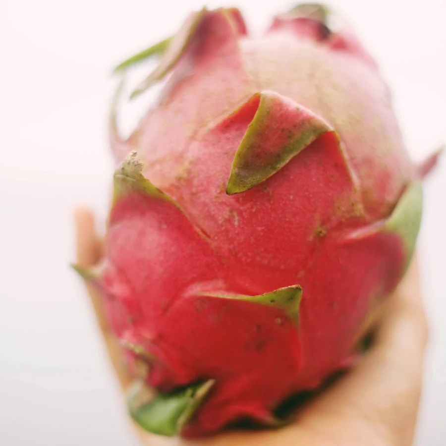 C1E0A7C7-E5E6-43B1-BB6F-AABDB2F659A4_900x