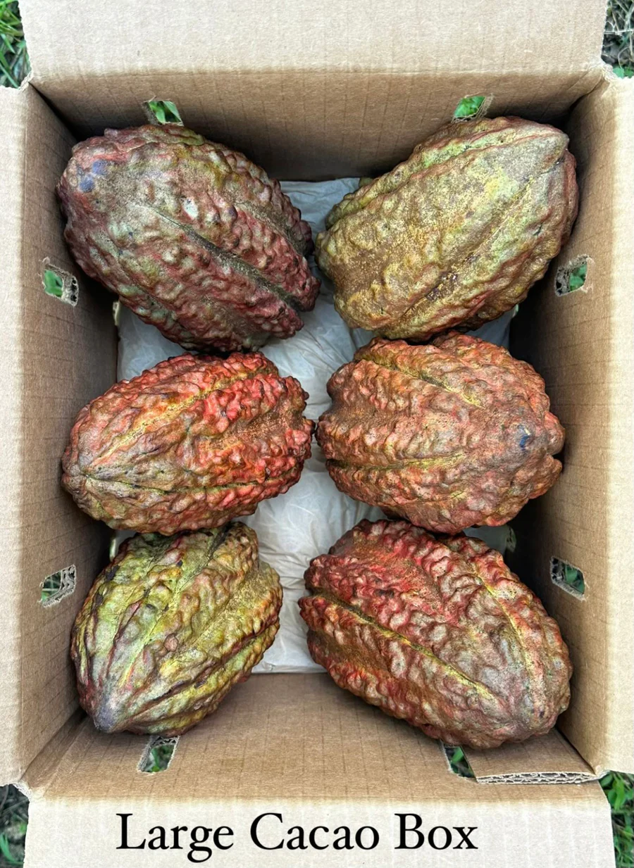 E66708F5-868B-4204-824B-D3EF0DEE527B_900x