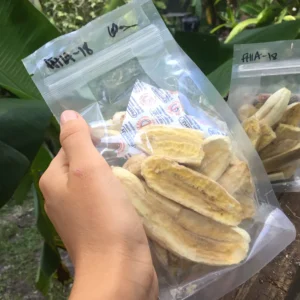 FREEZE DRIED BANANA