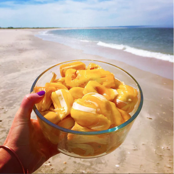 Screen_Shot_2016-12-12_at_3.22.23_PM_600x