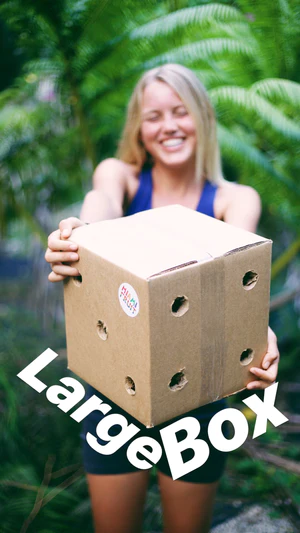 b_large_4ed2e89d-08b3-4e4e-b4a7-9bab88a119bb_300x