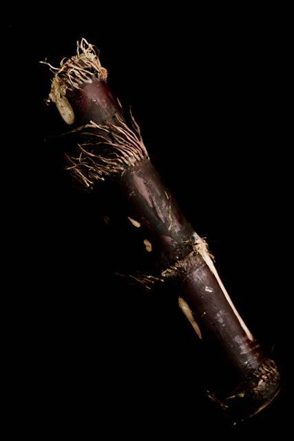 black_sugar_cane_chinese_new_year_order_online_600x