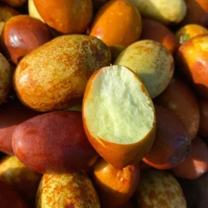 HONEY JUJUBE BOX *PRE-ORDER*