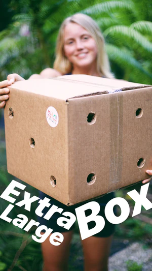 c_extra_large_1f25d696-25a5-4b0f-b1a6-af13f1405441_300x