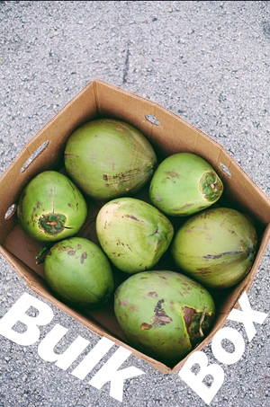 coconut_48c9aaad-0ec5-4136-b971-3301a5160d5c_300x