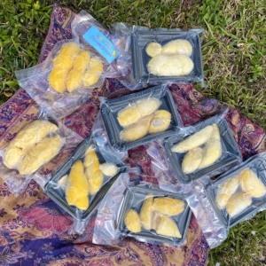 DURIAN VARIETY PACK - 8 DIFFERENT VARIETIES