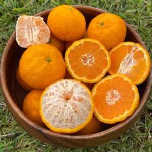 GOLD NUGGET MANDARIN BOX *PRE-ORDER*