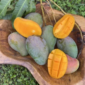 EAST INDIAN MANGO *PRE-ORDER 2024*
