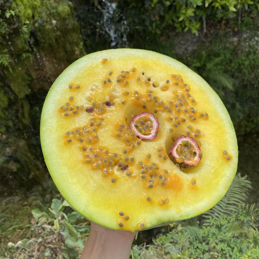 image_0496ea0e-95be-43a7-9065-dae3fe6cbc76_900x