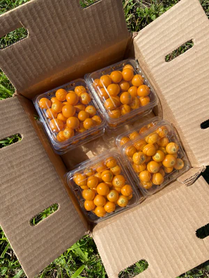 image_0a4835cc-04ed-4be1-ae9b-d65e1019278a_300x