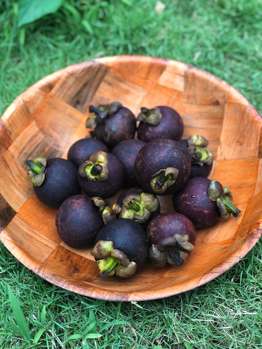 image_0d93b9d7-1604-43eb-89aa-c53850c07444_900x