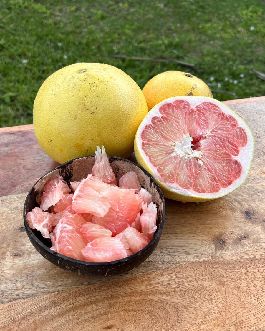 image_137b6c55-aac4-46a8-8d15-23952eeff19e_900x