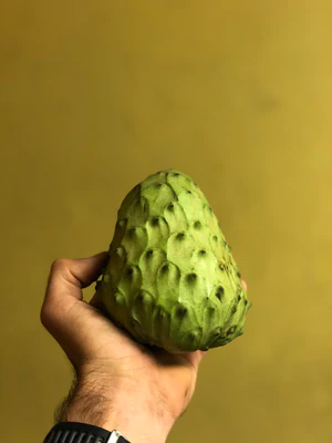 image_147835da-4e03-4781-b7df-8edd7b2a55c4_300x