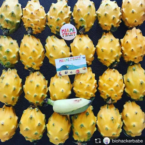 image_188af1fe-96b4-4267-83b3-f0e38fd5f8c1_300x