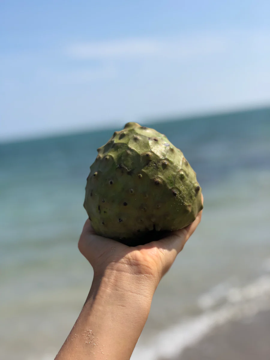 image_1a12cc9c-ac28-4ce0-8222-a0c83c1a9a1f_900x