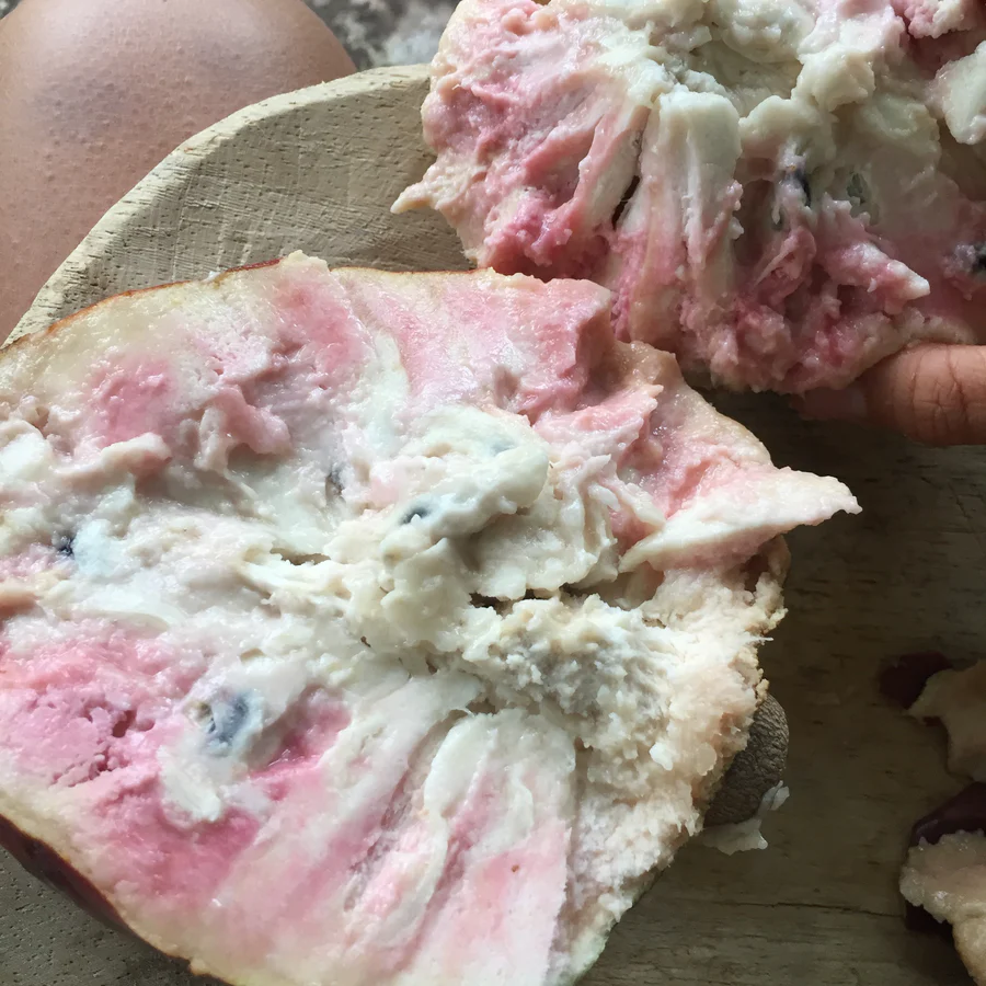 image_3113d69d-128e-43e4-b108-9f53d38710ae_900x