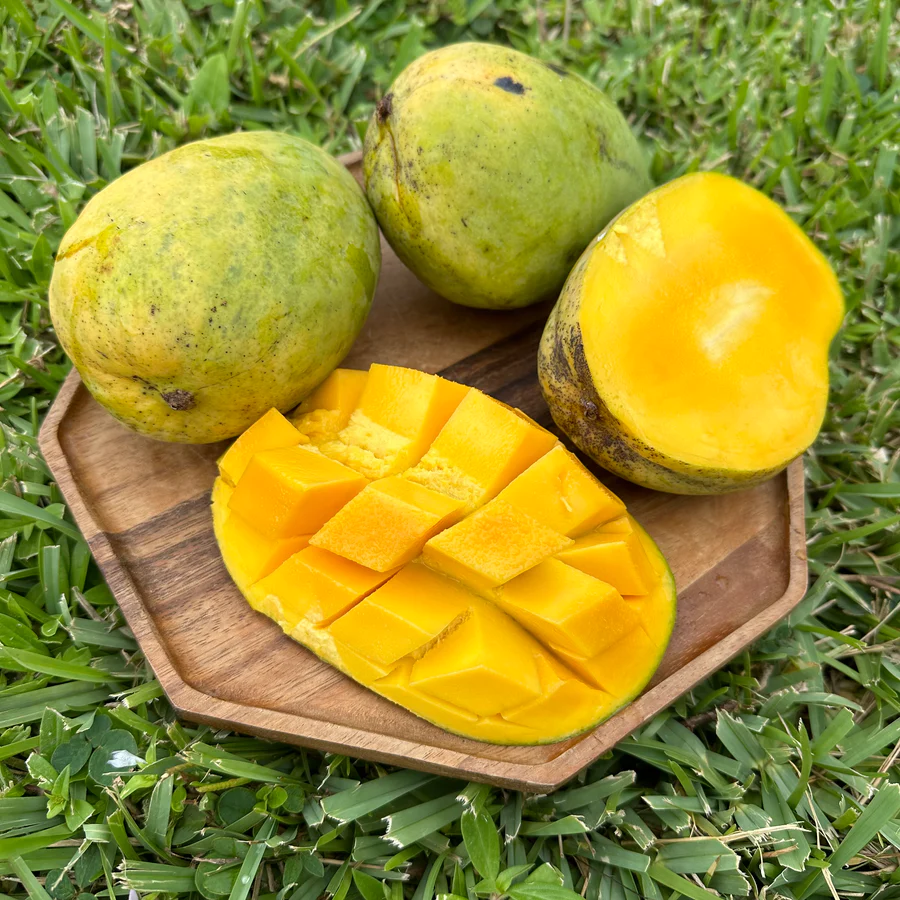 image_3702fd6b-79ab-4a85-8945-033223b324ac_900x