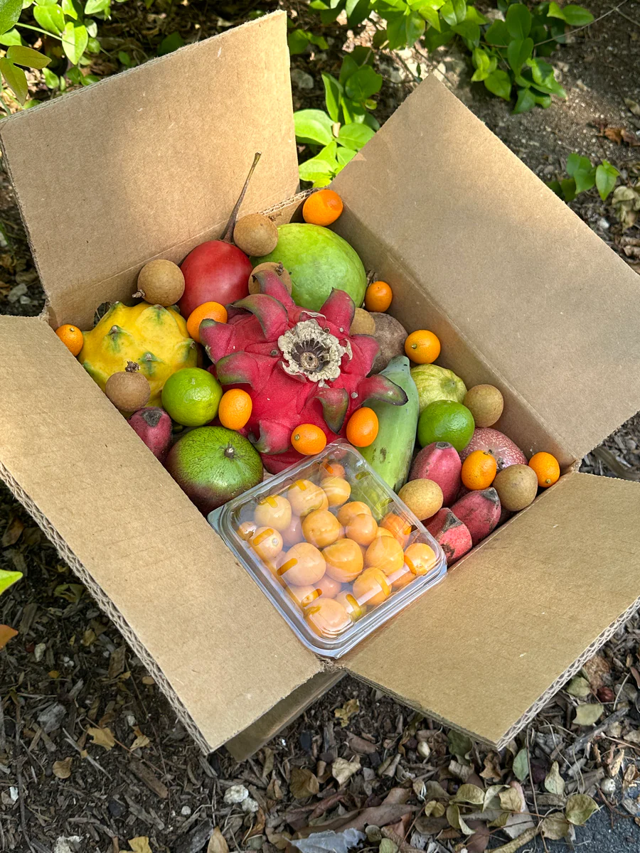 image_3deadf78-3ae8-4877-b120-a2546e0d8bcc_900x