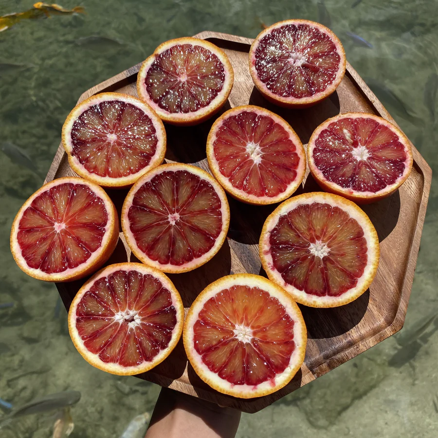 image_66877d7f-a0bd-4c9c-9f08-7b3a53b1686e_900x