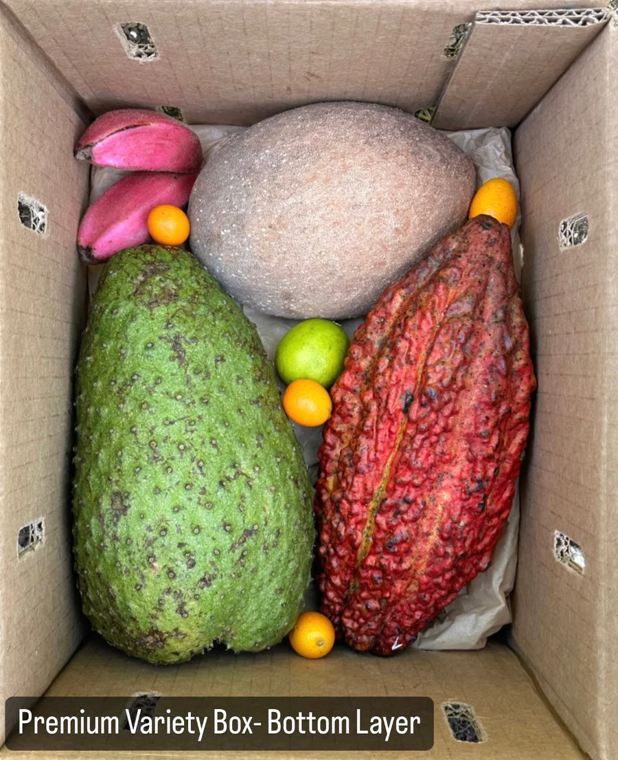 image_6d67b32d-8db5-44b2-8c1d-fe5f1cda8b33_900x