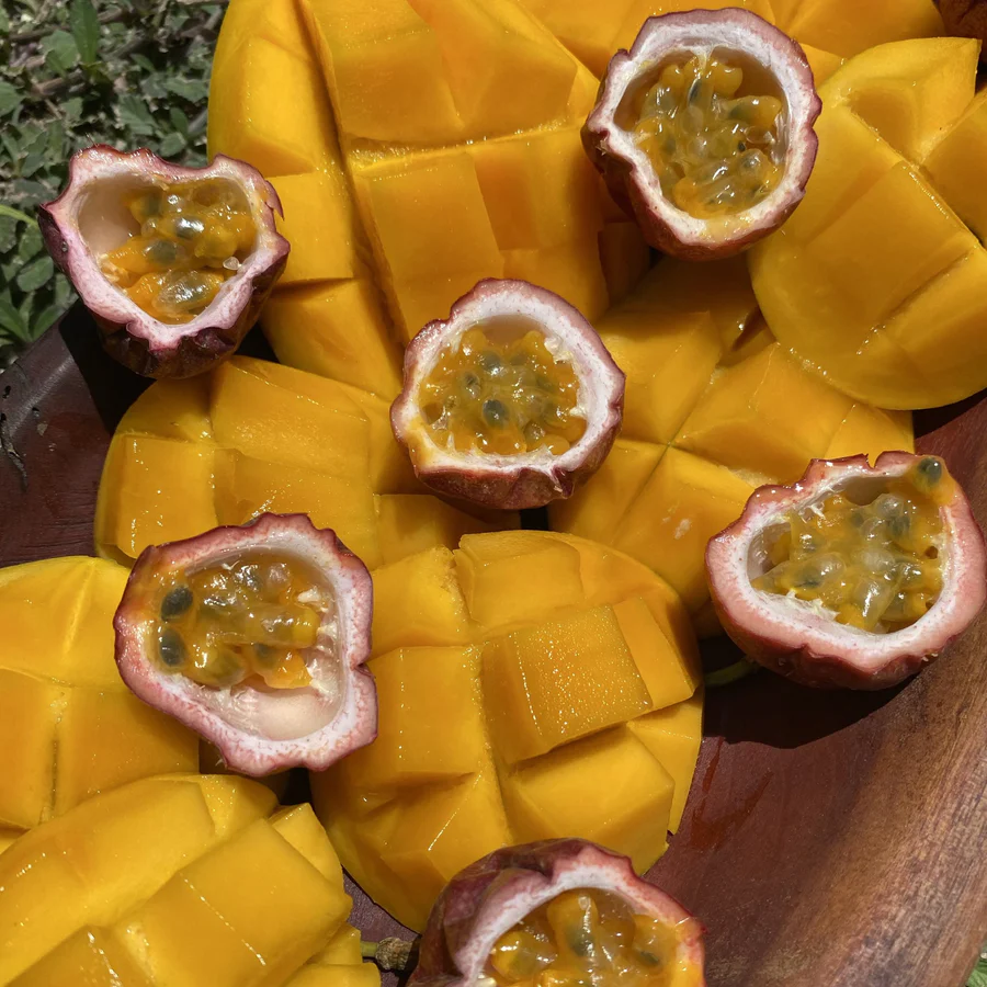 image_760b182a-fe15-4534-95f9-3f0754e5923f_900x