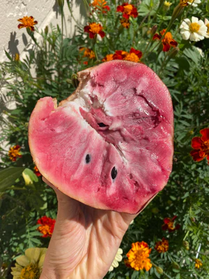 image_775637c4-2066-498c-9f4c-40ed3cdc8d91_300x