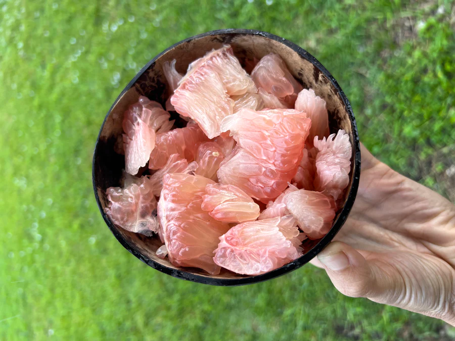 image_7de396f3-0a18-49eb-a088-e92805cde06f_900x