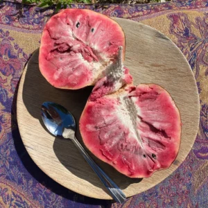 CUSTARD APPLE BOX *PRE-ORDER 2024*