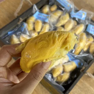 CHANEE DURIAN PACKETS (Copy)
