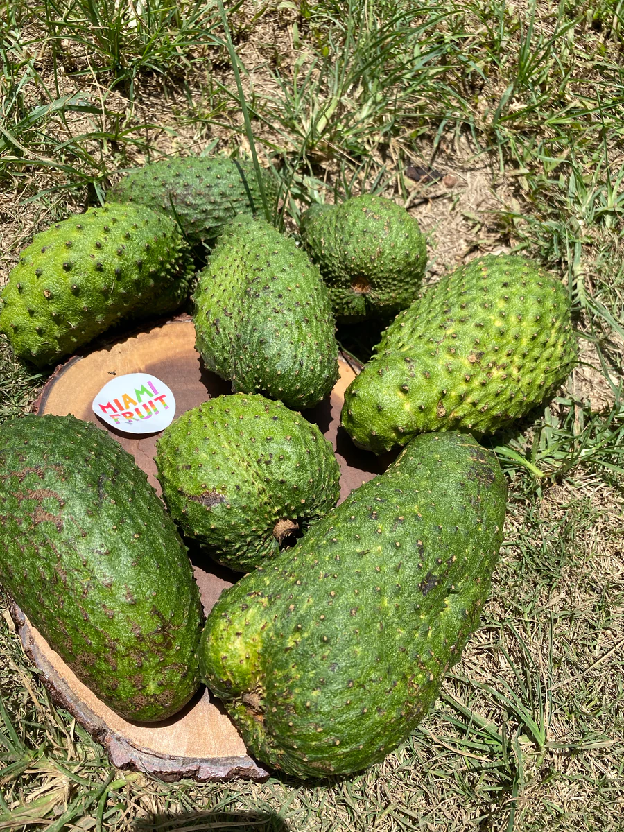 image_889b7b49-bc79-406c-9177-f427a04178b6_900x