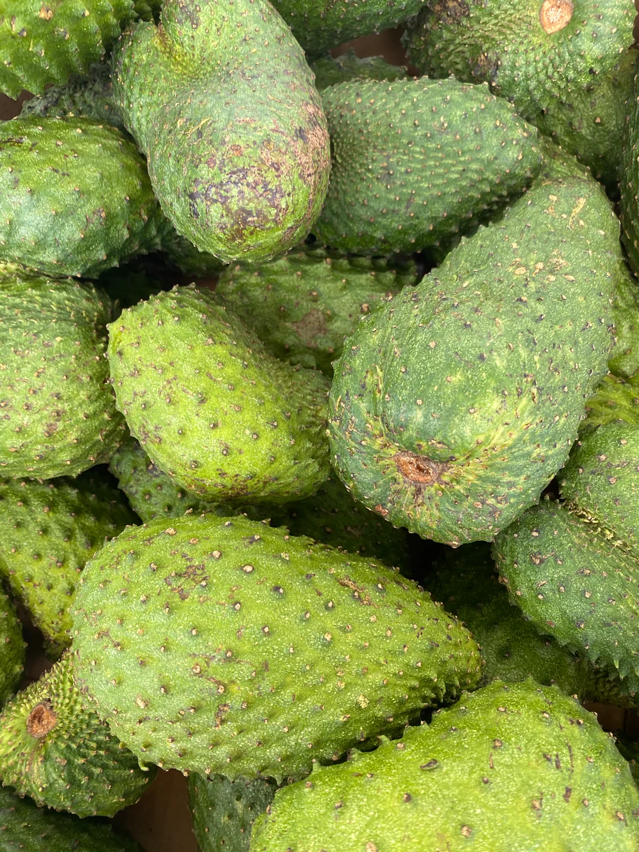 image_889d01aa-055b-4ebe-8dfe-6027f5bff0c6_900x (1)