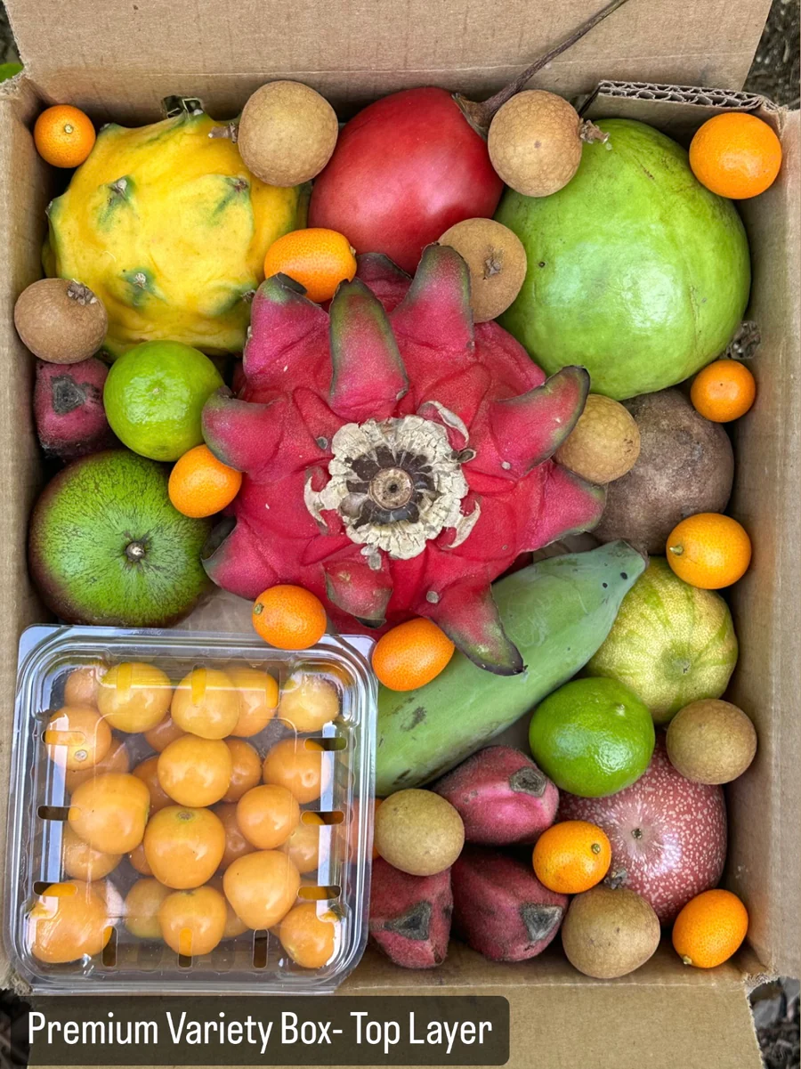 image_8ce21176-e43f-4581-8cde-613f55321cea_900x