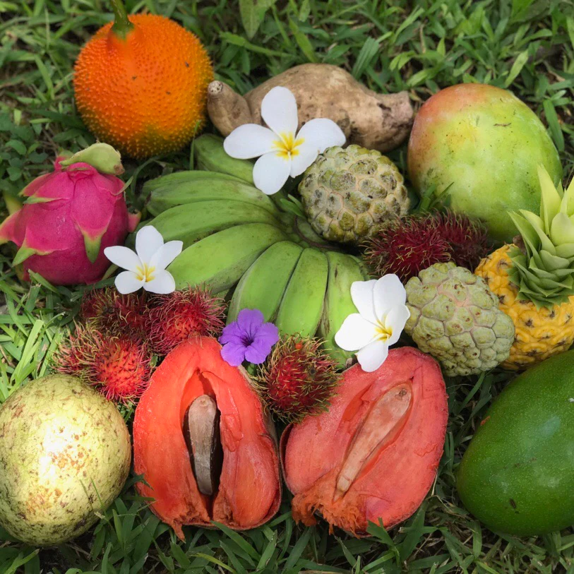 image_8de2aa8a-2009-4847-84ea-b0a86c72a9b1_900x