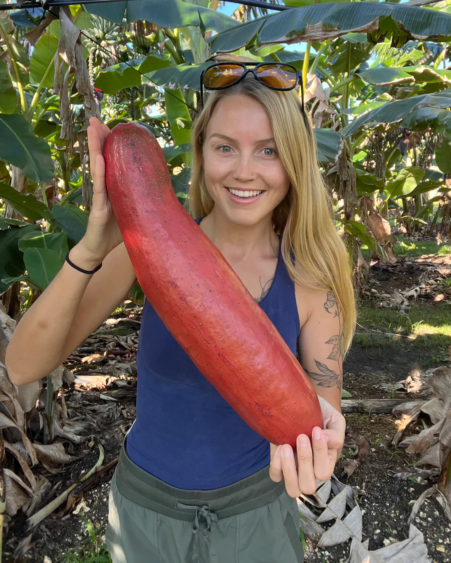 image_917275b5-9e57-4808-b10d-07db97a0990e_900x