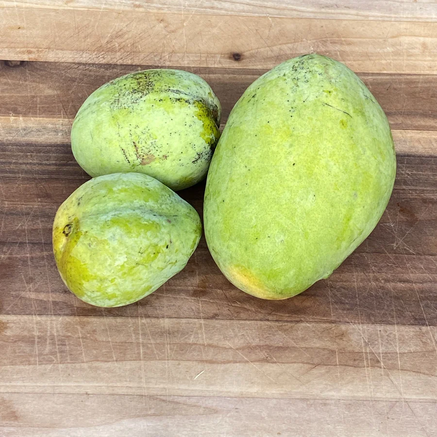 image_ab223274-eed3-48a1-a824-7fee4d65181d_900x