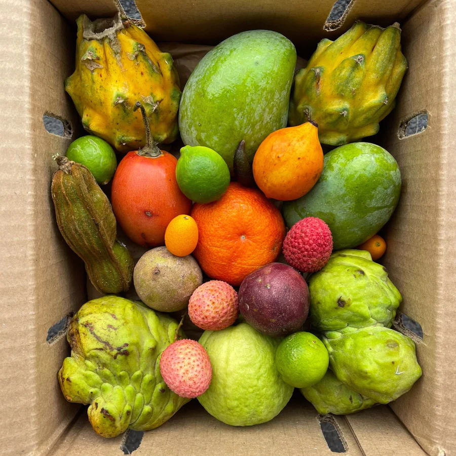 image_ace369c1-fd4d-4ec6-bb6d-3f15585884b7_900x