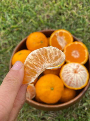 image_cefa5803-8b96-4211-b92e-5006b727d0a3_300x