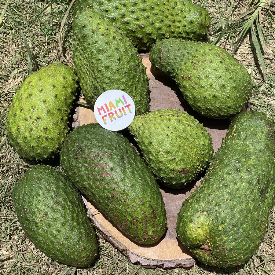 image_d346d5be-17be-4644-b4a6-45079c92ba62_900x