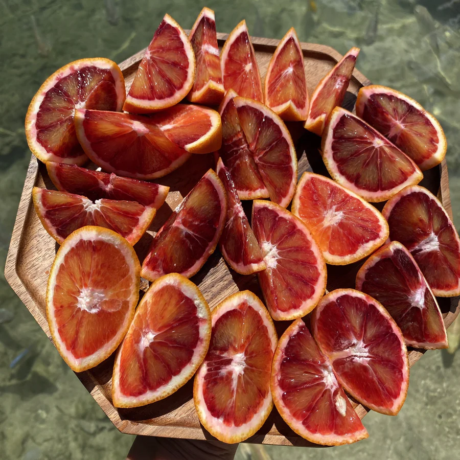 image_e9dc4348-0552-4e90-ab0d-24726abe4df5_900x