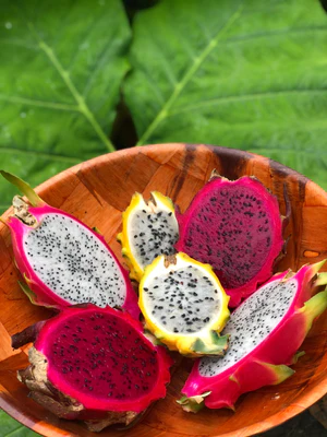 image_f0b8402f-41a2-4fde-acfa-d1b7ea04ceda_300x (1)