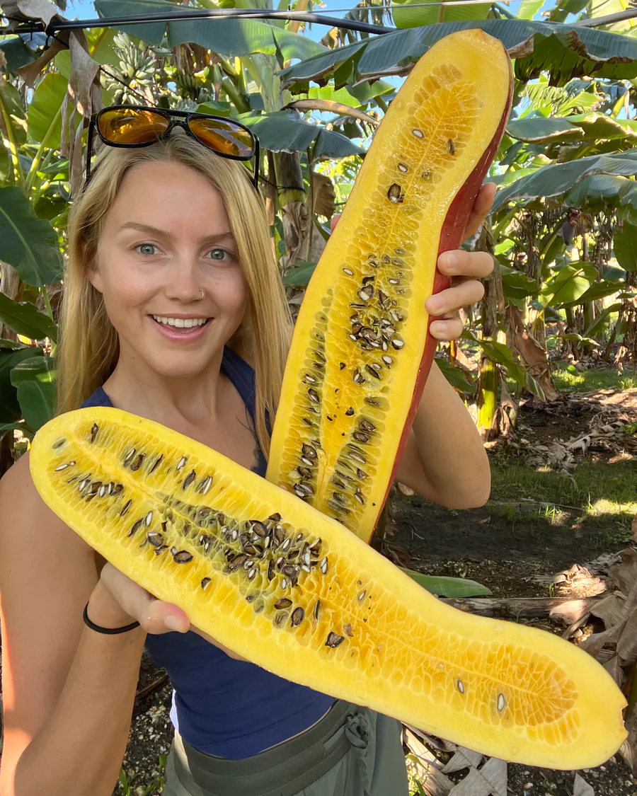 image_f598e85f-98eb-48ee-9520-03cbb4fc048c_900x