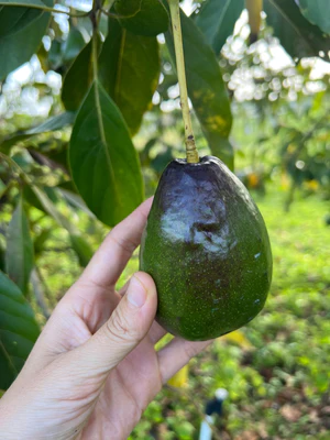 image_ffa7ab55-0d6b-42d4-a928-095fa69bb57b_300x